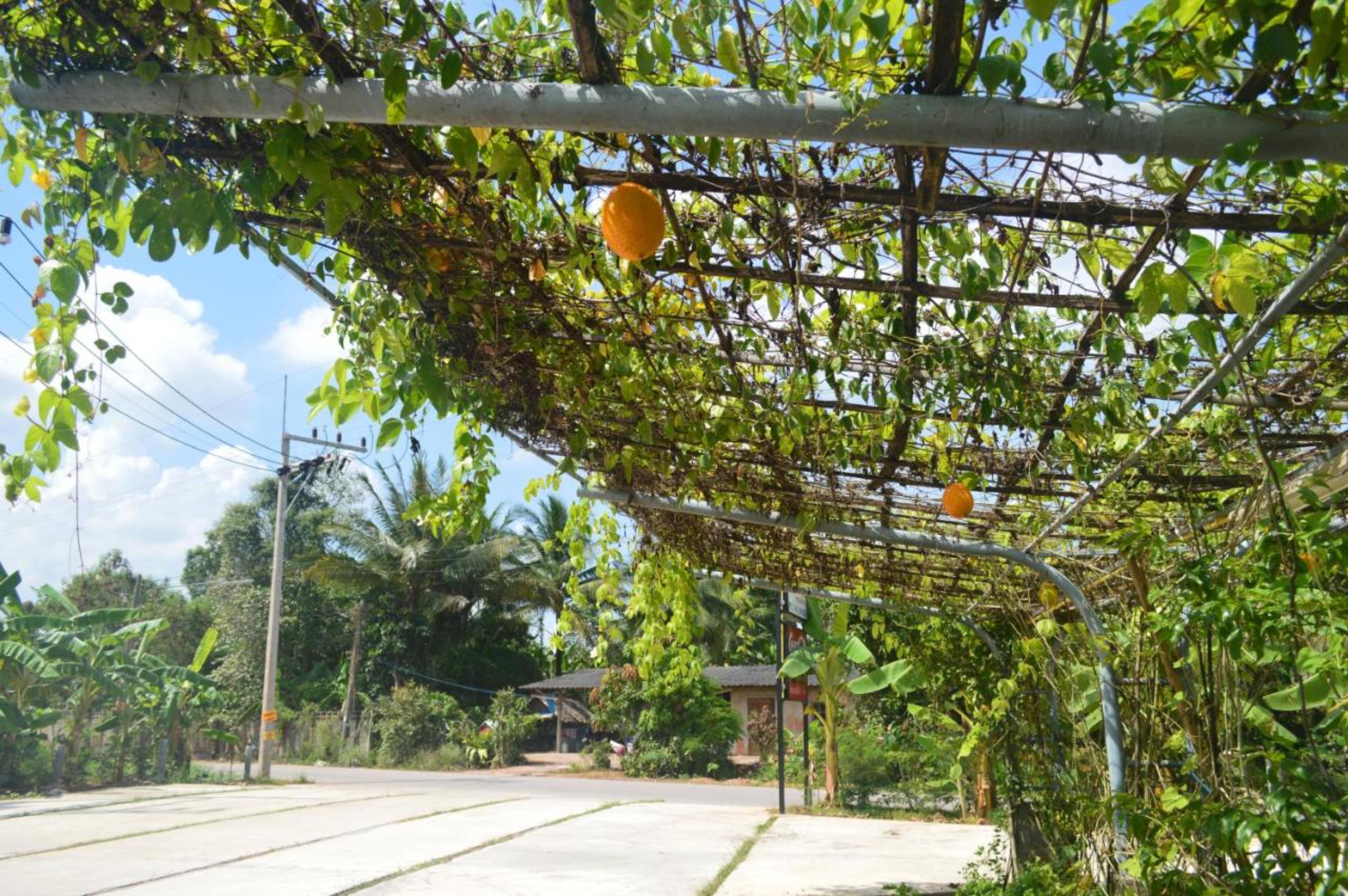 Be Fine Sabuy Hotel And Resort Surat Thani Eksteriør bilde